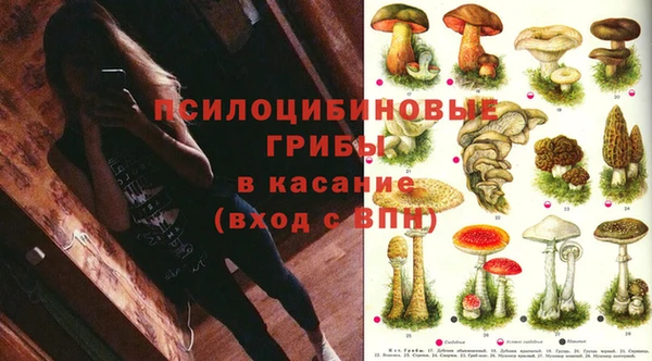 мет Баксан