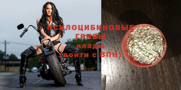 PSILOCYBIN Балахна