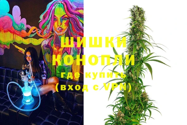PSILOCYBIN Балахна