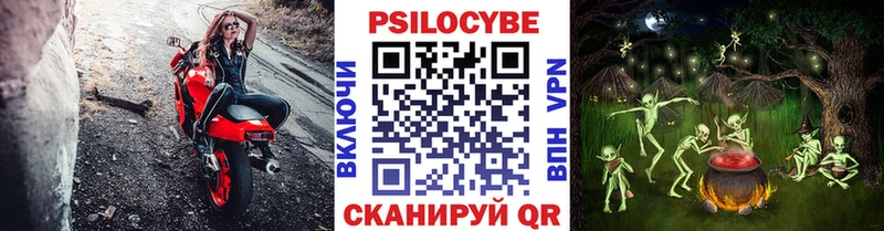 Галлюциногенные грибы Psilocybe  Тосно 